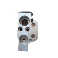 Audi Car AC Expansion Valve, Audi A4 / A6 / Q5 / Q7 BAC