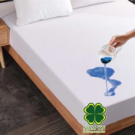 Bed Sheet And Slip Pillow Waterproof Dust Mite Proof