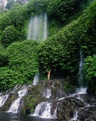 Lingsar Temple,Benang Kelambu and Benang Stokel Waterfall Day Tour