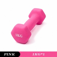 1KG / 4KG Hexagon Dumbbell Set | Home Gym Fitness Exercise Weight Training Workout Strength Muscle D