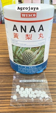 Repack Wesco ANAA Pil Hormon Nanas Nenas Alpha Naphthyl Acetic Acid Pineapple Hormones Pill ANAA 黄梨药