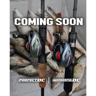 G-TECH WONDERFUL/PERFECT DC 101HG