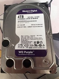 Western Digital 4TB Purple Surveillance Hard Drive