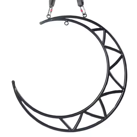 Complete LED Steel Aerial Moom Lyra Hoop Set with Carabiners Daisy Chain Pose Guide Yoga Swing Sport