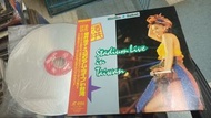 酒井法子 Sakai Noriko STADIUM IN TAIWAN 台北夢冒險 演唱會 日本版 laser disc LD 1993年 5400YEN 日本本土版