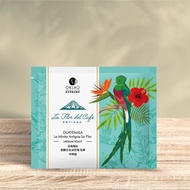 【歐客佬】瓜地馬拉 安提瓜 花神 水洗 白金烘焙 (5入)