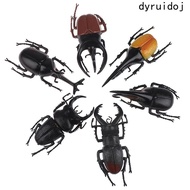 DYRUIDOJ Simulation Beetle Science Toy Teaching Aids Insect Toy Simulation Animals Beetle Figures Ki