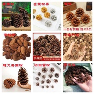 christmas ribbon christmas tree decoration American Pine Oil Pine Local Pine Spruce Pine Flower Fall