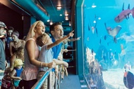 Tiket Sea World Gold Coast