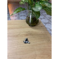 Removable sound vga blister for dell e6440 laptop (disassembled)