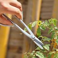 Stainless Steel Pruning Shears, 5Cr15MOV Blade, Comfort Grip, 210mm Length