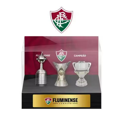 Hot Sale Southeast Brazil Regional Football Champion Trophy Complete Set With Dustproof Display Cabi
