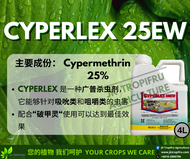 Cyperlex 25EW (4L) Racun Serangga Perosak/Pesticides/农药  【Synton,Cyper H2O】