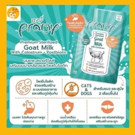 (1ซอง)Pramy Goat milk พรามี่นมแพะสเตอริไลส์ นมแพะสำหรับลูกสุนัขและลูกแมว 1 ซอง 60 g.
