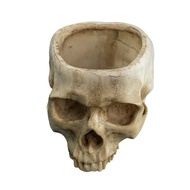 Skull Flower Pot Hanging Human Skull Plant Pot Halloween Candy Bowl Gothic Planter for Succulents In
