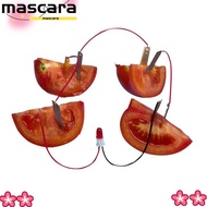MARA Fruit Battery Science Experiment Kit, Bio Energy Potato Powered Electricity Experiments Science