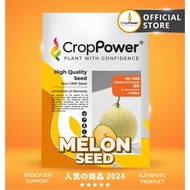 (100 SEEDS) Biji Benih Melon Golden Princess 香妃 ML1888 CROP POWER F1 HYBRID Galia Melon seeds 蜜瓜种子 M