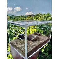 Spider Farming Box, Centipede, Scorpion kt 15-10-10cm (tank mica / acrylic)
