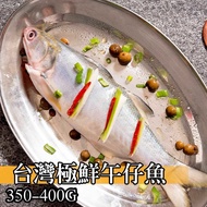 【鮮綠生活】(免運組)台灣極鮮午仔魚(350-400克)共4包