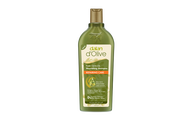 DALAN D'OLIVE OLIVE OIL SHAMPOO REPAIRING CARE