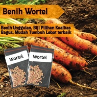 Benih wortel berkualitas bibit sayur sayuran wortel