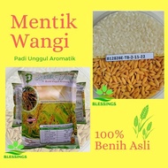 Benih Padi Mentik Wangi Bibit Padi Mentik Wangi [ Promo ]