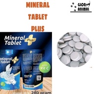 Mineral Salt Tablets PLUS VITAMIN C Fish Salt TABLET MODEL 40pcs
