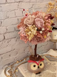 【綺思藝想】永生不凋花-招福招財貓頭鷹花球樹