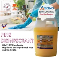 Pine Disinfectant Hard Surface Sanitizer Bacteria Killer 4.8L