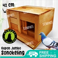 SEMPATI Kandang Merpati Gupon Merpati Tong Gupon Pagupon Burung Merpati Doro Dara Kolongan Balap Tom