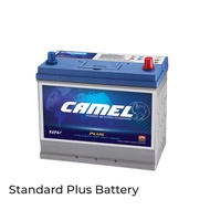 【CAMEL】Car Battery Kereta Bateri  NS60R/L/RS/LS  55B24R/L/RS/LS