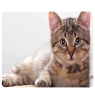 CAT-5 Mouse Pad Cute Cat Picture Anti-Slip Gaming Mouse Mat for PC Computer Laptop MackBook (5)