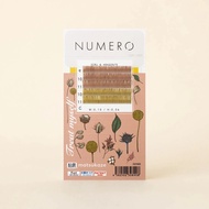 NUMERO Color Matte Flatlash Trialsheet ECRU & ARAGONITE