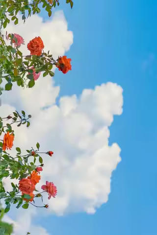 12.3''Inch Digital Instrument Gauge Cluster For BMW E70 E71 X5 X6 Speedometer Virtual Cockpit LCD Di