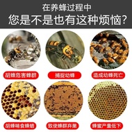 Wasp Three Days Net Kill Wasp Buster Wasp Buster Powder Killing Field Wasp Killing Nest Spirit Beeke