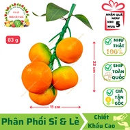 Tangerine Bunch 22x11cm Vietnamese Model Thai Technology 99% AUTHENTIC Used for Decoration