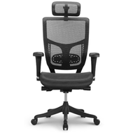 SoErgo - Soliss - Ravi 人體工學椅 電腦椅 辦公椅 網椅 轉椅