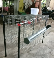 Sangkar Berkaki Ayam Telur