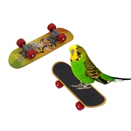 Parrot Mini Skateboard Toy Intelligence Training Skateboard Exercise Toy Budgie Skateboard Bird Toy