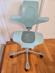 Hag Ergonomic Office Chair