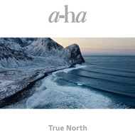 [HIRES] A-Ha - True North 2022 [FLAC 24bit 96khz] Digital Transfer