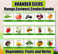 VEGETABLE SEEDS, FRUITS and HERBS seeds. Talong/okra/pepper/sili/radish/tomato/melon/pakwan/cauliflo
