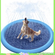 Tab mandi binatang pelihara, kolam renang anjing, anjing saiz sederhana besar, tab mandi anjing, kol