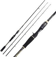 Sougayilang Fishing Rods - IM6 Graphite Blanks Casting & Spinning Rods, 2-Piece Rods with Extra Tip 