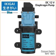 Diaphragm Pump Ikigai Blue - DC 12 V - 48 Watt - 100 Psi - 4 L per min
