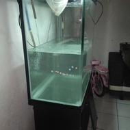 boyu aquarium +filter canister + ikan arwana silver uk. 40 cm