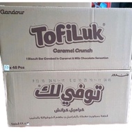Tofiluk Carton ( 10 box × 48pcs)