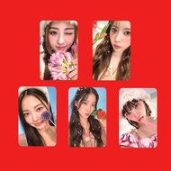 Blazing LESSERAFIM New Album ANTIFRAGILE Photocard HAEWON SAKURA PHOTOARD26.3.13