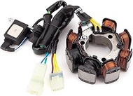 FEPLEO Motorcycle Generator Stator Coil Sportrax 250 TRX250X 2009-2017 TRX250EX EX 2006-2008 31120-H