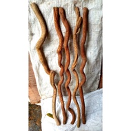 Random decorative roots diameter 2-3cm. unique santigi roots 1 meter